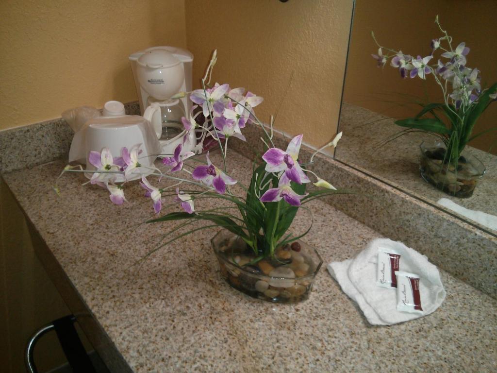 Inn Cheraw Zimmer foto